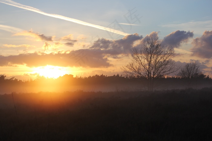 海德，维卢韦，森林，树木，荷兰风景