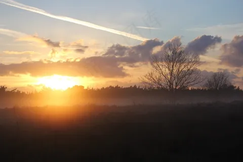 海德，维卢韦，森林，树木，荷兰风景