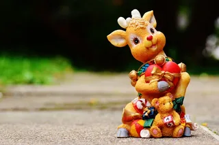 圣诞节，无花果，装饰，尼古拉斯，礼物，12月