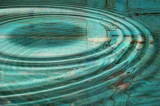 电线,高压管,绳子,软管,蛇,水面上的图案