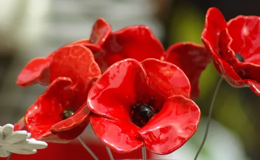罂粟花，红色花朵，陶瓷，花瓣