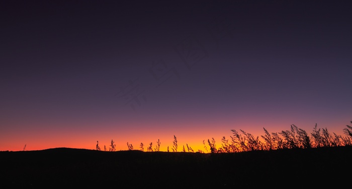 地平线，在傍晚，日落，剪影，橙色