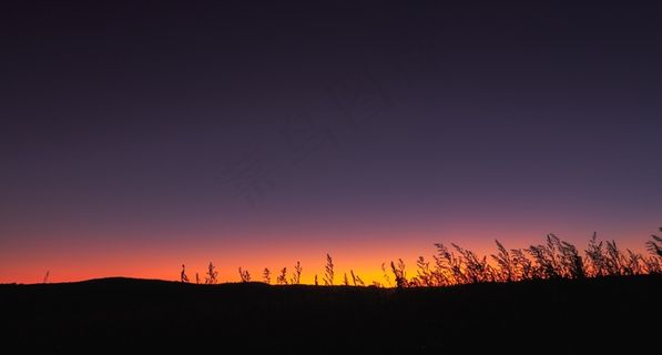地平线，在傍晚，日落，剪影，橙色