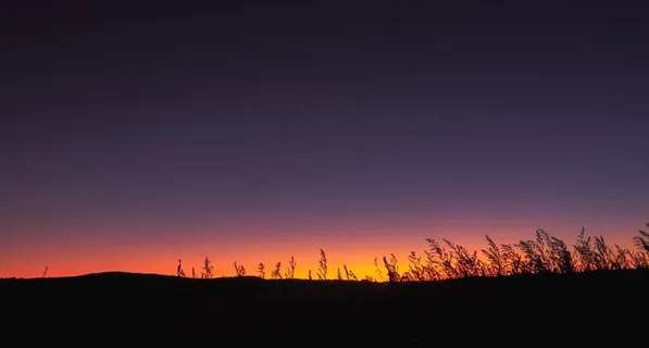 地平线,在傍晚,日落,剪影,橙色 地平线,在傍晚,日落,剪影,橙色