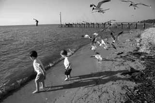 莫比尔湾，阿拉巴马州，海岸线，海岸，墨西哥湾