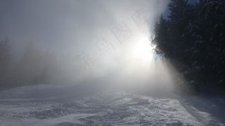 阿尔高，高山尖，雾，太阳，冬季，雪，树木