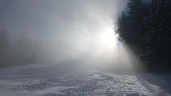 阿尔高,高山尖,雾,太阳,冬季,雪,树木 阿尔高,高山尖,雾,太阳,冬季,雪,树木