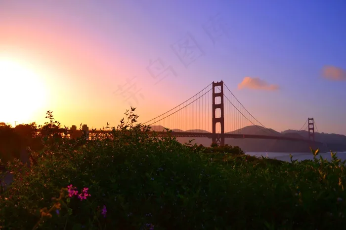 金门大桥，旧金山，日落，桥，公园