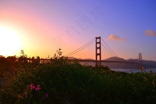 金门大桥，旧金山，日落，桥，公园