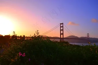 金门大桥，旧金山，日落，桥，公园