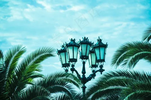 路灯,棕榈树,天空,海滩,地平线,云 路灯,棕榈树,天空,海滩,地平线,云
