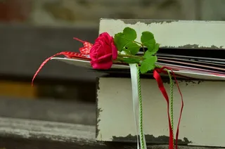 玫瑰，浪漫，信件，友谊，乐队，玫瑰绽放