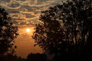 日落，清晨，冬季，阳光，云