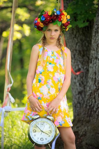 夏天，阳光灿烂的日子，白花，自然，黄色中心