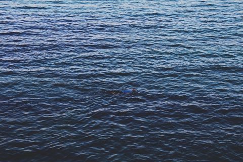 水，表面，浮潜，蓝色，自然，清除，海