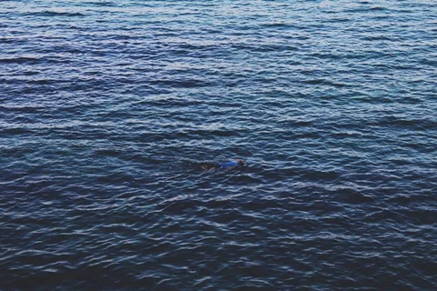 水,表面,浮潜,蓝色,自然,清除,海 水,表面,浮潜,蓝色,自然,清除,海