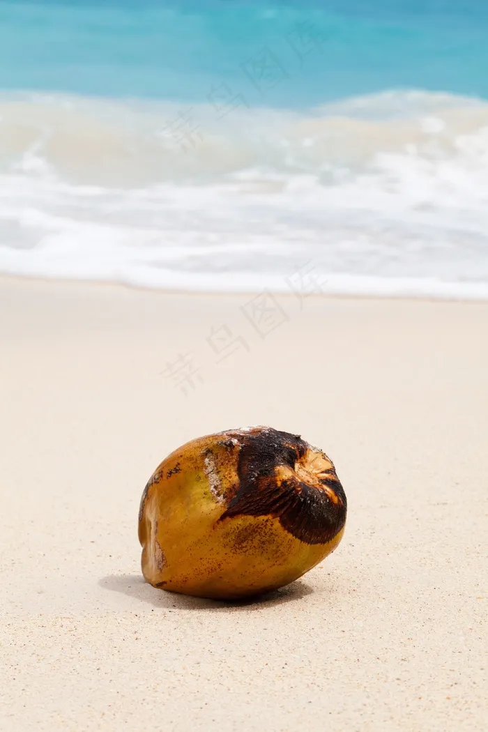 椰子，热带，海洋，沙，海，海滩，异国情调