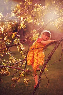 人，人的，儿童，女孩，连衣裙，树，审美