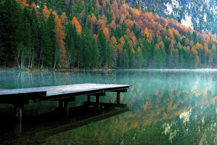 秋景，江，湖景，风景秀丽，码头，水，树木