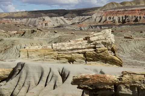 岩石，风景，树木