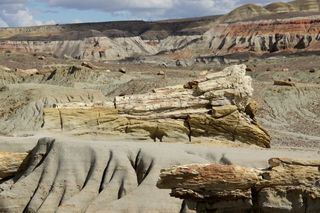 岩石，风景，树木