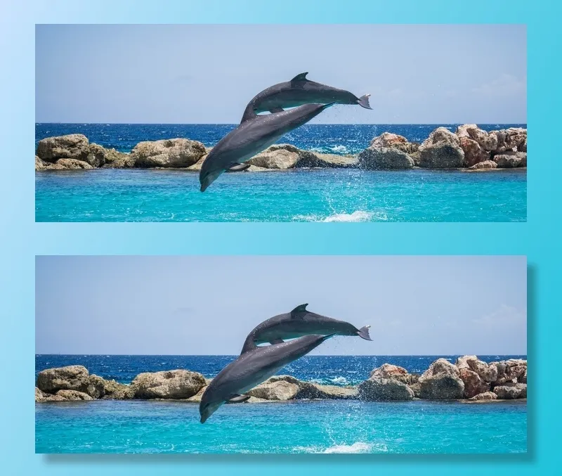 海豚，水族馆，跳跃，鱼，动物，海洋，水