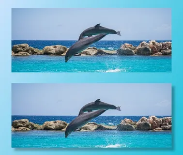 海豚，水族馆，跳跃，鱼，动物，海洋，水