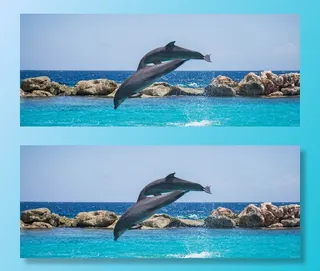 海豚，水族馆，跳跃，鱼，动物，海洋，水