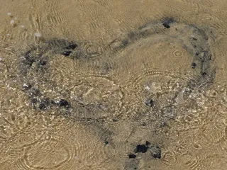 心，水，海，太阳，海滩，假期