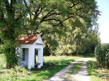 教堂，魏森霍恩，森林路径，夏天