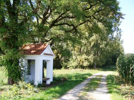 教堂，魏森霍恩，森林路径，夏天