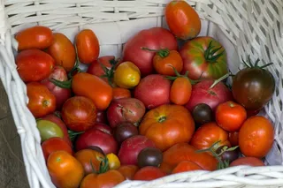 蔬菜，西红柿，篮子，花园番茄