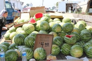 西瓜,石莱西瓜,地雷瓜,西瓜图,大棚,西瓜