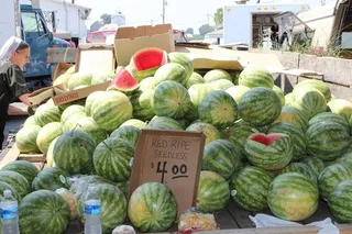 西瓜,石莱西瓜,地雷瓜,西瓜图,大棚,西瓜