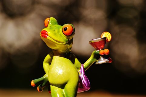 青蛙，小鸡，女士，傲慢，鸡尾酒，搞笑