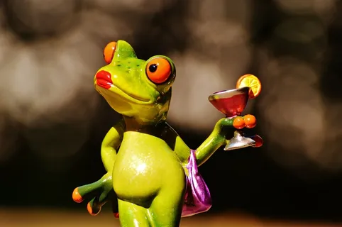 青蛙，小鸡，女士，傲慢，鸡尾酒，搞笑