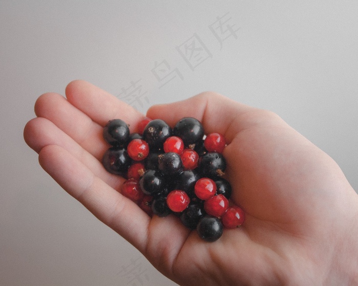 植物,手链,手,琉璃珠,佛珠链,食品水果黑加仑黑加仑