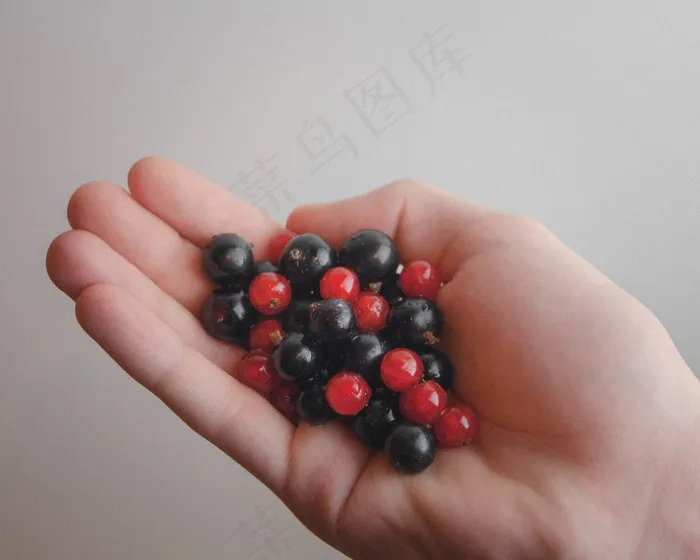 植物,手链,手,琉璃珠,佛珠链,食品水果黑加仑黑加仑