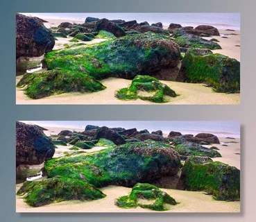 藻类，岩石，海苔，海洋，海，海滩，海景