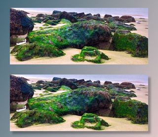 藻类，岩石，海苔，海洋，海，海滩，海景