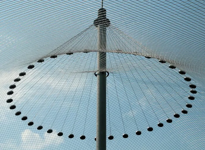 电线，网格，外壳，动物园