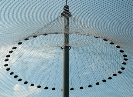 电线，网格，外壳，动物园