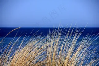 模糊图片,流星雨,灯,,草与海在背景中
