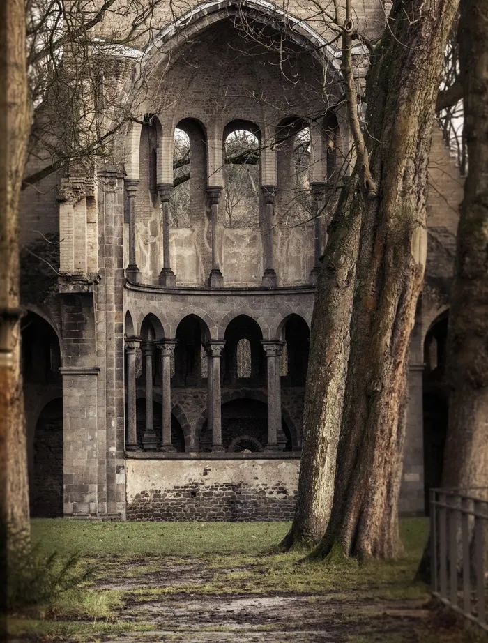 修道院，废墟，Heisterbach，波恩