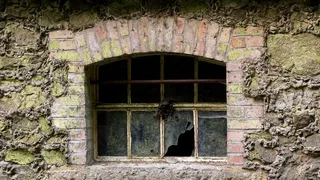 窗口，破碎，破碎，玻璃，被遗弃，丢失的地方