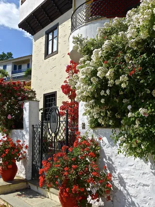 鲜花，墙，入口，春天，开花，花的，房子