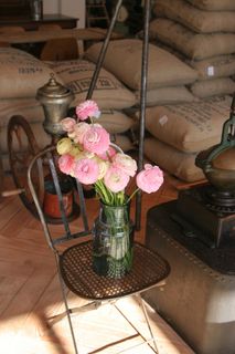 春天，鲜花，粉红色，粉色的花，舒适，免费