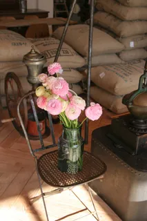 春天，鲜花，粉红色，粉色的花，舒适，免费