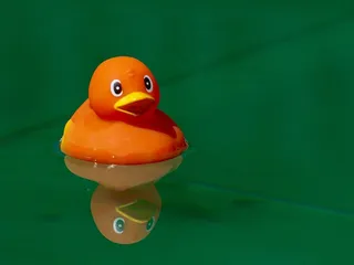 鸭，吱鸭，玩具，一个人，在水中