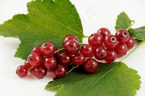 Träubele，葡萄干，水果，浆果，食品，自然